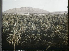 Image représentant Le soir, vue sur la palmeraie de Zenaga