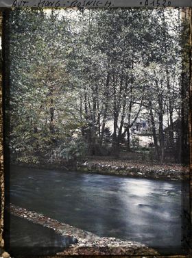 Image représentant Sources de la Bosna: vue sur les herbes du fond de l'eau et sur les herbes sèches