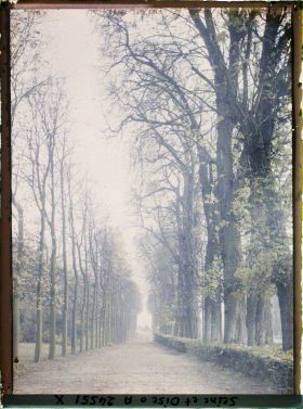 Image représentant Une allée du parc