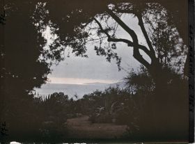 Image représentant Vue sur la baie depuis le jardin