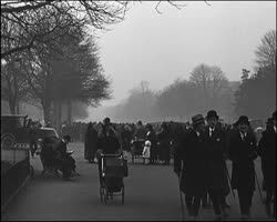 Image représentant L'avenue du bois de Boulogne