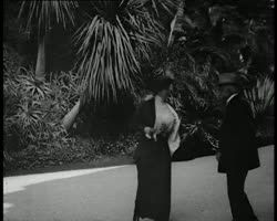 Image représentant Familles de Schoen et Seckendorff-Aberdar