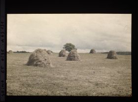 Image représentant Ile de France, Magny en Vexin , Prairie fauchée