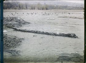 Image représentant Site palafittique préhistorique des Alpes, pieux en bois visibles lors de la baisse des eaux après la grande sécheresse de 1921 sur le lac de Neuchâtel