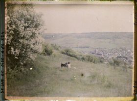 Image représentant Ile de France, Vetheuil, Pente nord de la vallée de la Seine