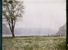 Image représentant Le lac des Quatre-Cantons et le débarcadère de Flüelen