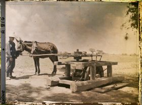 Image représentant Dans les champs