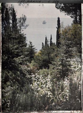 Image représentant vue sur la mer du jardin