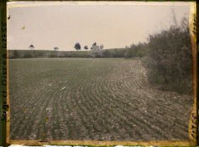 Image représentant Ile de France, Vallangoujard, Champ de blé - au début de la pousse