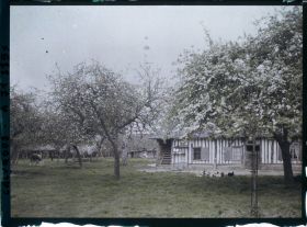 Image représentant Une ferme avec bâtiments et pommiers