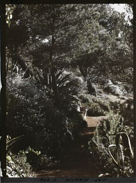 Image représentant partie basse du jardin