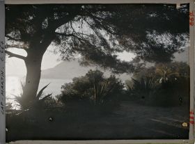 Image représentant Abord de Miramar vu le soir