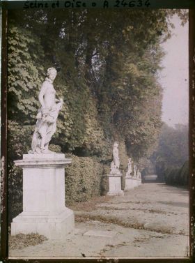 Image représentant France, Versailles, Parc de Versailles - Contre-allée du Tapis Vert