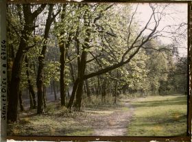 Image représentant Dans le parc