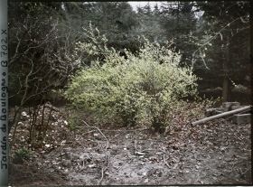 Image représentant jardins