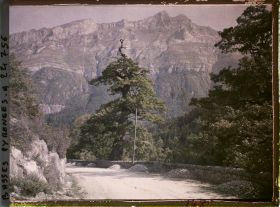 Image représentant France, Sur la route du Pic du Midi d'Ossau, le légendaire - "Chêne de l'Ours"