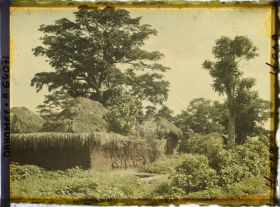 Image représentant Le village indigène