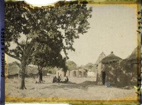 Image représentant Un akée (ou blighia sapida) dans un coin du village de Natitingou