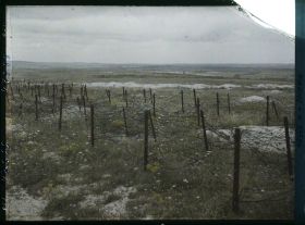 Image représentant France, Tranchée et barbelés en venant du Mont Casque