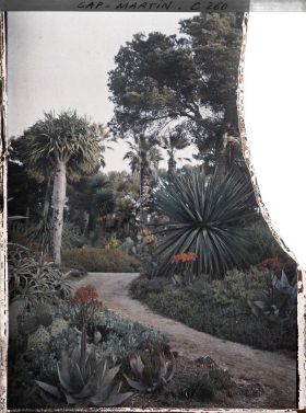 Image représentant Cap-Martin - Le Jardin