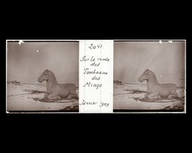 Image représentant Ming Shisanling ("Treize Tombeaux des Ming"). L'un des deux chevaux assis de l'allée des statues