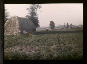 Image représentant Seine et Marne, Le Pin, La plaine en avant du village