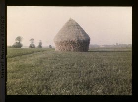Image représentant Seine et Marne, Le Pin, Meules de Blé et fourrages