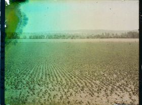Image représentant France, Pasly, Aspect de la Campagne devant Pasly, Champ de betteraves et Champ de blé