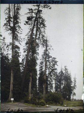 Image représentant Canada, Vancouver, Une vue du Parc