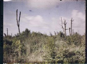 Image représentant France, La Maisonnette, Autre aspect de la Maisonnette