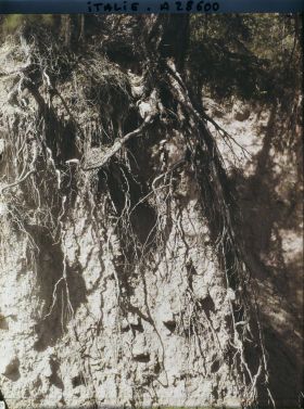 Image représentant Les Pyramides de terre (ou Cheminées de Fées) de Renon