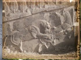 Image représentant Escalier nord de l'Apadana, combat du lion et du taureau