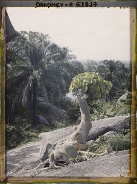 Image représentant Paysage de montagne