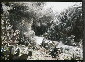 Image représentant le jardin