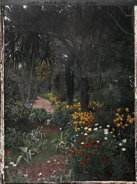 Image représentant Cap-Martin - Le Jardin