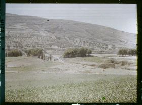 Image représentant Panorama vers l'ensemble des ruines du Palais (derrière, le premier bouquet d'arbres, le théâtre), (direction sud-est)