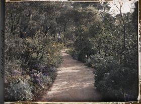 Image représentant Cap-Martin - Le Jardin