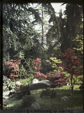 Image représentant Pierres, azalées et érables rougeoyants, situés à l'entrée du " sanctuaire japonais "