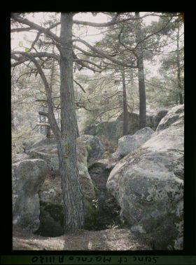 Image représentant France, Fontainebleau, Forêt de Fontainebleau