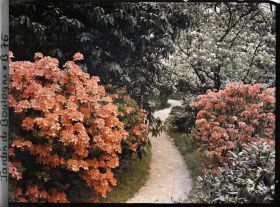 Image représentant Le " Chemin de Ronde " longeant le marais au nord