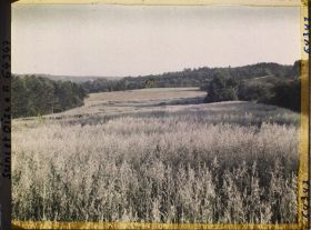 Image représentant Ile de France, Vallangoujard, Champ d'Avoine au lever du soleil