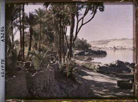 Image représentant Palmiers sur les rivages de l'île d'Eléphantine