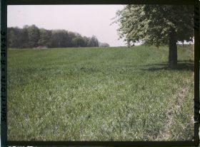 Image représentant France, Fontenay-Fleuri, Un champ de blé pris à la sortie de St Cyr Coté Sud (N° 1)