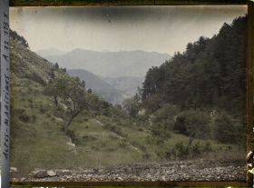 Image représentant Paysage de petite montagne avec restanque au premier plan