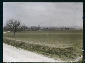 Image représentant France, Les Clayes, Champ de blé, vue prise vers la Gare