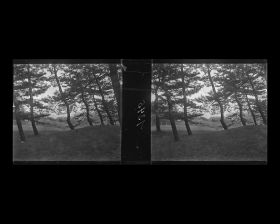 Image représentant Le jardins de la résidence de M. Matsuda