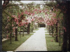 Image représentant Axe central du verger-roseraie vu vers la dépendance, après le rond-point proche du jardin français