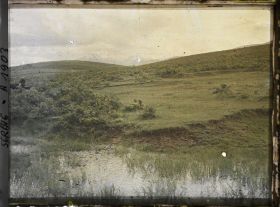 Image représentant Marécage et maquis de petits chênes sur la route de Prizren dans le Kosovo Polje