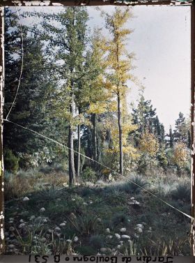 Image représentant Partie rocailleuse du " sanctuaire japonais " située non loin du sôrintô