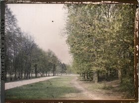 Image représentant Une allée du parc aux abords de la Grande Gerbe?